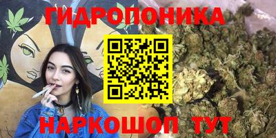 стафф Сланцы