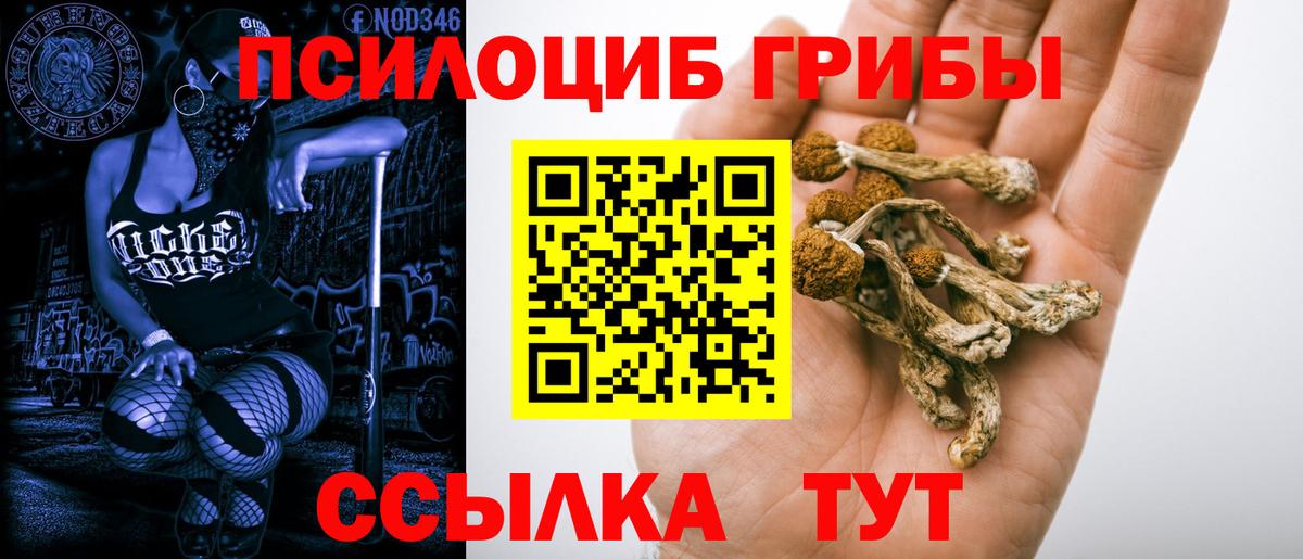 Псилоцибиновые грибы GOLDEN TEACHER Орёл